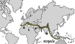 Toroslar ve Alpin Kusagi