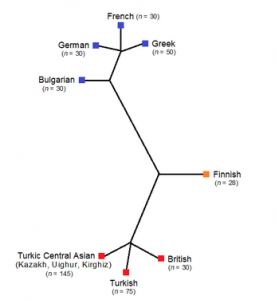 Genetic Tree of Neighbouring Populations