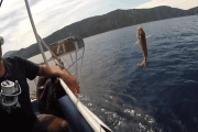 Volkan's Adventures - Private Dalyan Sea Fishing - Fishing