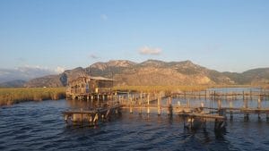 12033224_10153606040022769_7892187336256593518_n