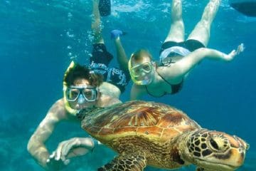 Semizce & Ekincik Caves Tour - Volkans Adventures - Swimming with Caretta