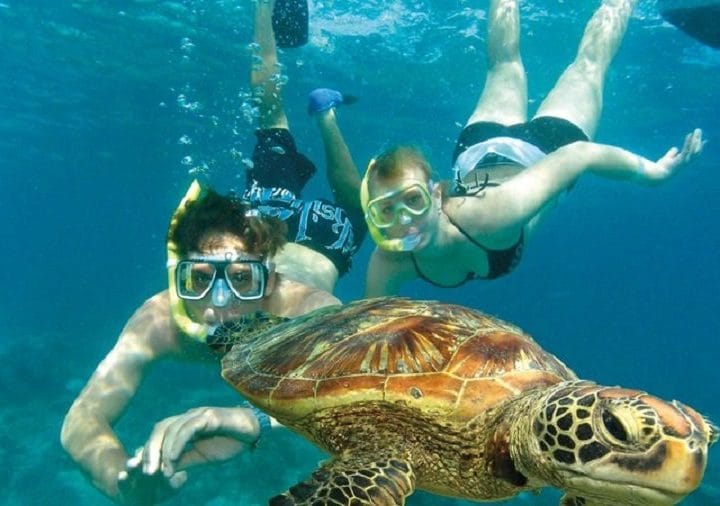 Semizce & Ekincik Caves Tour - Volkans Adventures - Swimming with Caretta