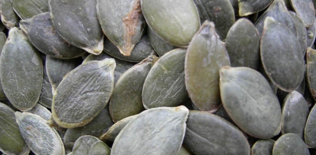 Turkish dried fruit and nuts - melon seeds