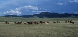Silk Road - Plains of Anatolia