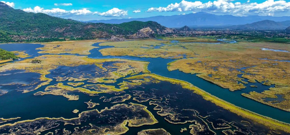 Dalyan Delta and Reed Beds