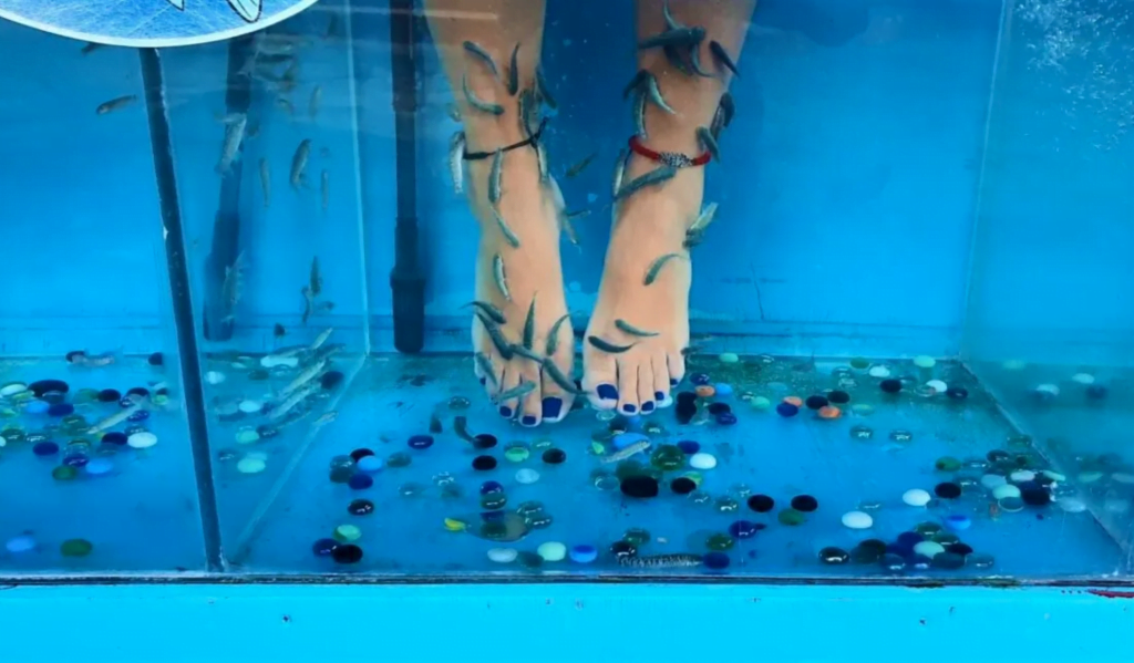 Doctor fish at Sultaniye Hot Springs