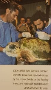 DEKAMER Sea Turtles Center