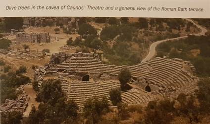 olive trees in the cavea of Caunos