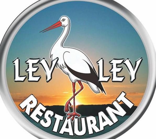 Leyley logo