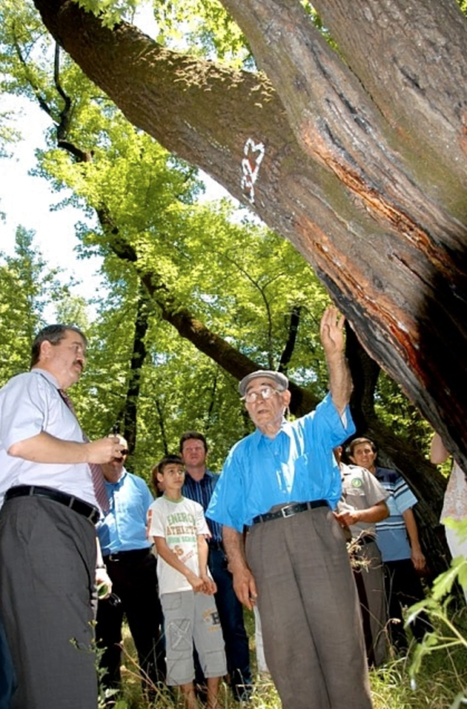 LiquidambarTrees are Protected