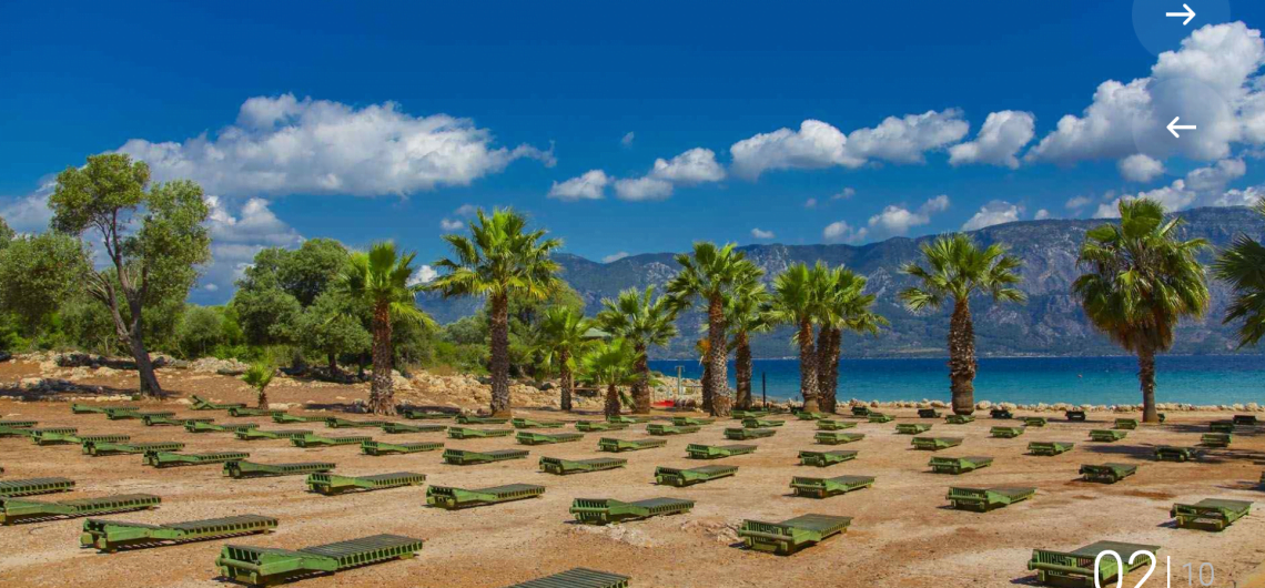 Sunbeds and palm tress at the Cleopatra Beach
