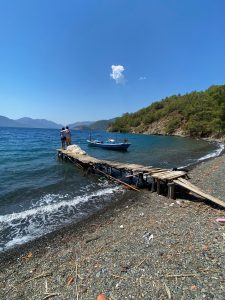 IMG_4419 Eco-friendly travel in Dalyan