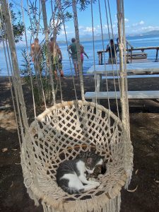 IMG_5511 Eco-friendly travel in Dalyan