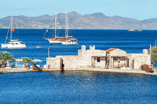 Guinea Pig Datca Tour - 1