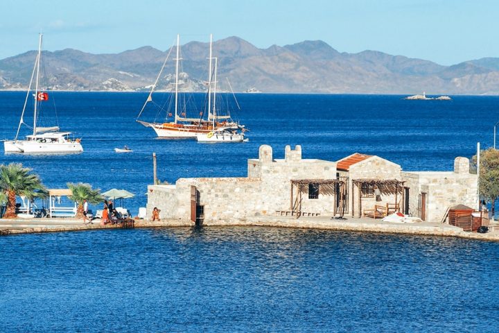 Guinea Pig Datca Tour - 1