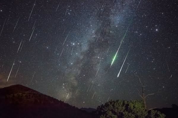 Perseid Meteor Shower