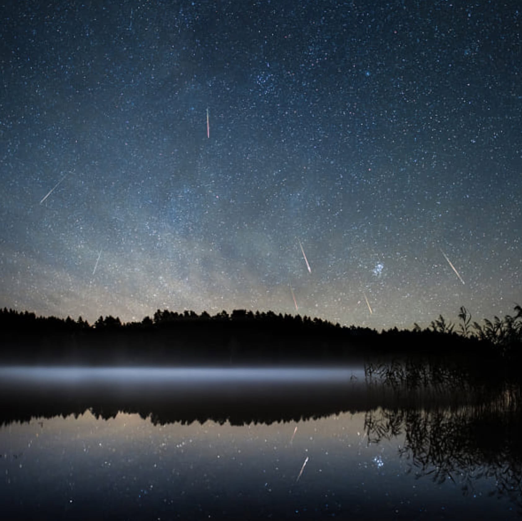 perseid meteor